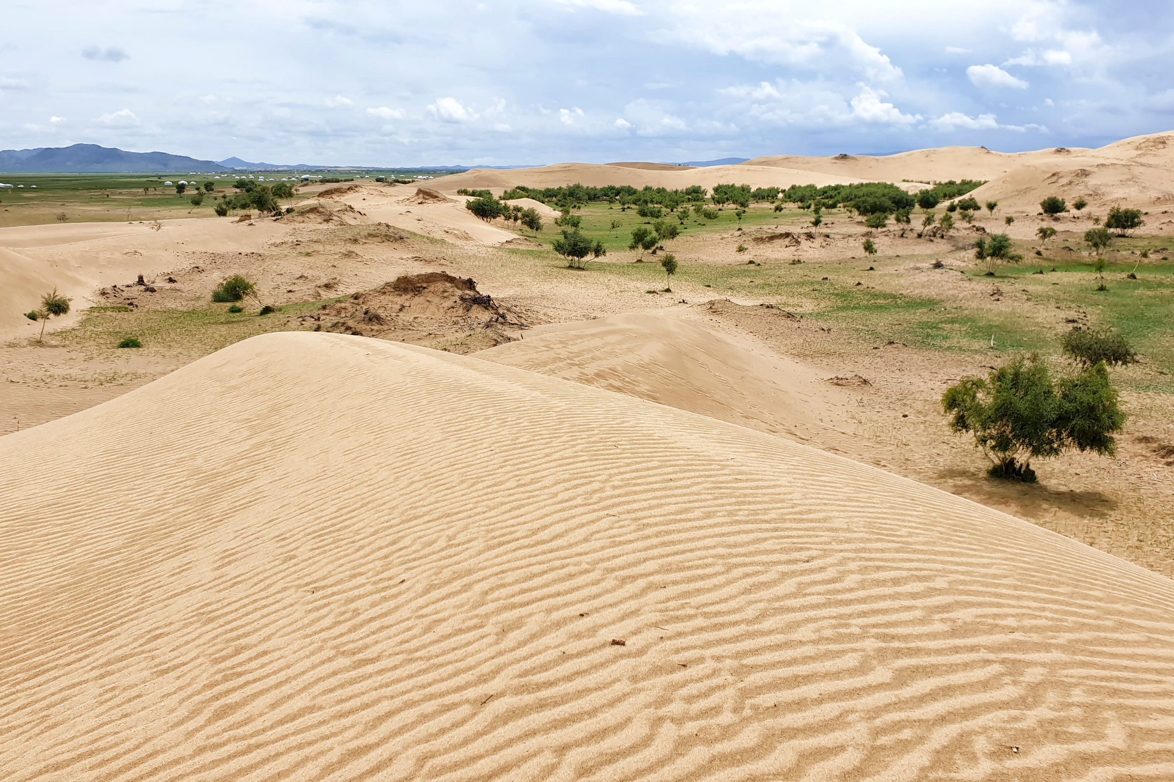 Bayan_Gobi[1].webp